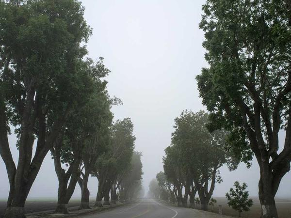 建商手作課程——打造專屬社區感的美好午後 - 照片 1